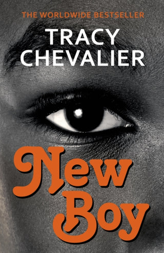 Cover image for 9781784700249 - New Boy