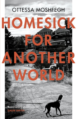 Cover image for 9781784701505 - Homesick For Another World