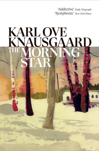 Cover image for 9781784703301 - The Morning Star