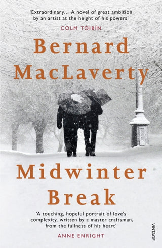 Cover image for 9781784704919 - Midwinter Break