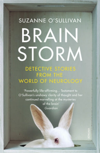 Cover image for 9781784704995 - Brainstorm