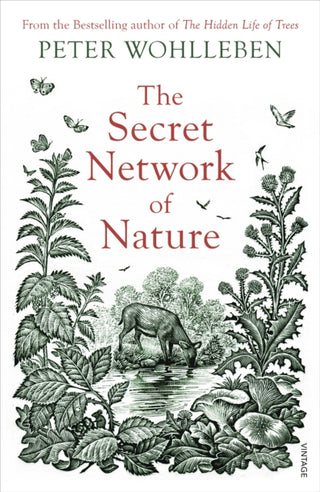 Cover image for 9781784708498 - The Secret Network of Nature