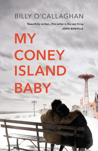 Supplemental image for 9781784708764 - My Coney Island Baby