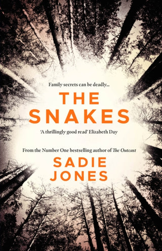 Cover image for 9781784708825 - The Snakes