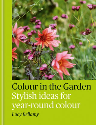 Cover image for 9781784729349 - Colour in the Garden