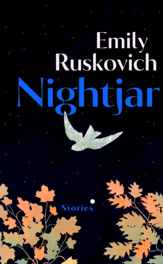 Cover image for 9781784745592 - Nightjar