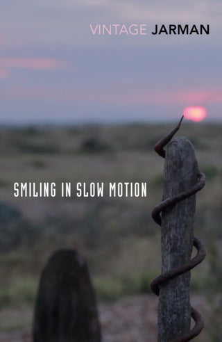 Cover image for 9781784875169 - Smiling in Slow Motion
