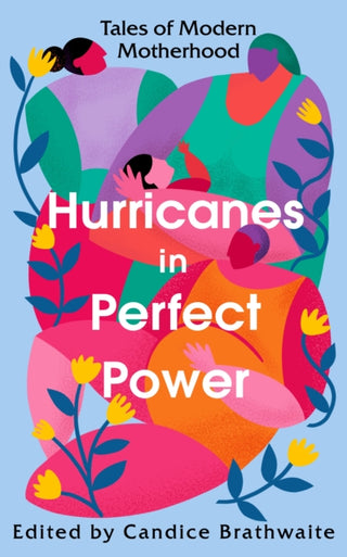 Cover image for 9781784878313 - Hurricanes in Perfect Power