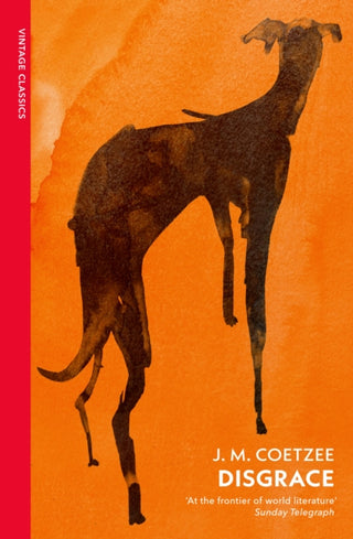 Cover image for 9781784879051 - Disgrace