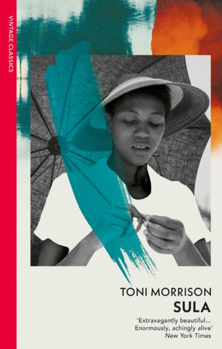 Cover image for 9781784879112 - Sula