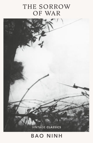 Cover image for 9781784879839 - The Sorrow of War
