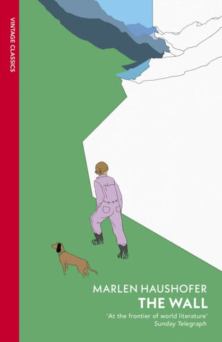 Cover image for 9781784879976 - The Wall