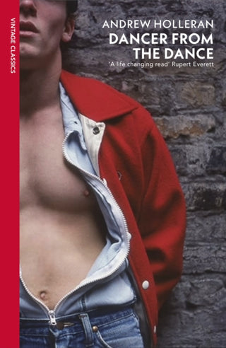 Cover image for 9781784879983 - Dancer from the Dance