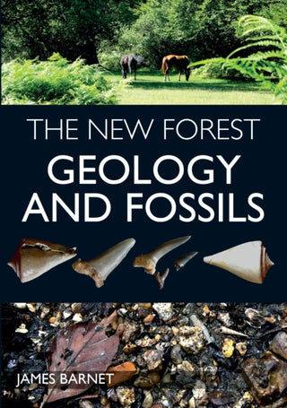 Cover image for 9781785008160 - The New Forest