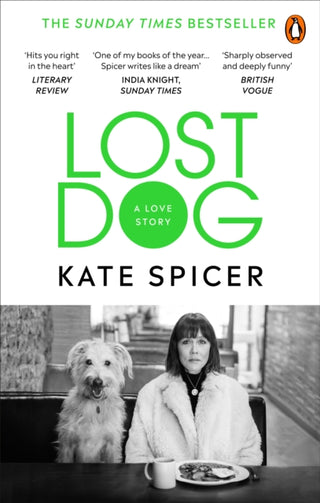 Cover image for 9781785039201 - Lost Dog
