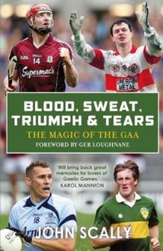 Cover image for 9781785302862 - Blood, Sweat, Triumph & Tears