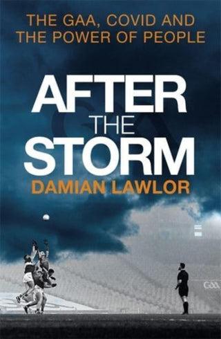 Cover image for 9781785304118 - After the Storm