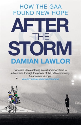 Cover image for 9781785304668 - After the Storm