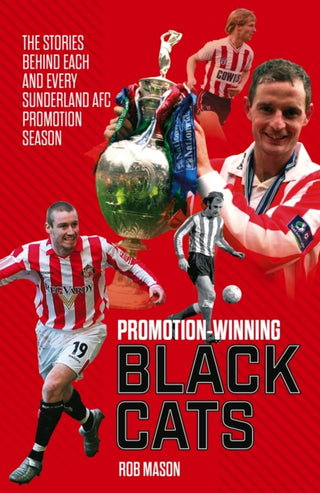 Cover image for 9781785317934 - Promotion Winning Black Cats