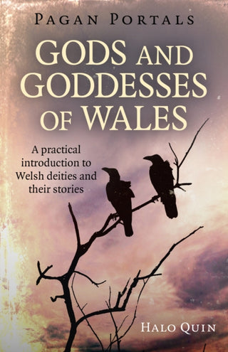 Cover image for 9781785356216 - Pagan Portals - Gods and Goddesses of Wales