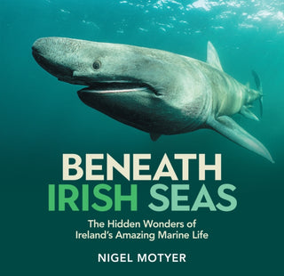 Cover image for 9781785375705 - Beneath Irish Seas