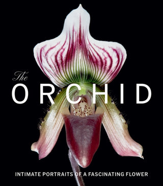 Cover image for 9781785516511 - The Orchid