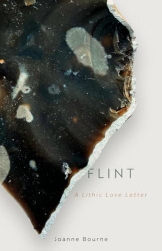 Cover image for 9781785634086 - Flint