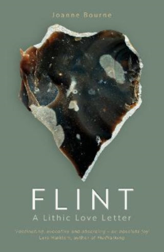 Cover image for 9781785634611 - Flint