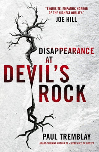 Cover image for 9781785653643 - Disappearance at Devil's Rock
