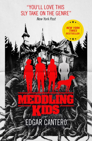 Cover image for 9781785658761 - Meddling Kids