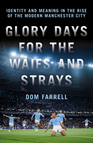 Cover image for 9781785909689 - Glory Days for the Waifs and the Strays
