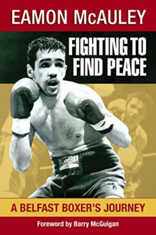 Cover image for 9781786051240 - Fighting to Find Peace