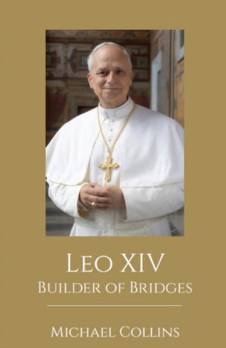 Cover image for 9781786052681 - Leo XIV