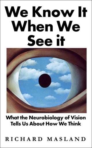 Cover image for 9781786078162 - We Know It When We See It