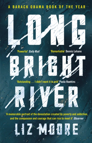 Cover image for 9781786090614 - Long Bright River