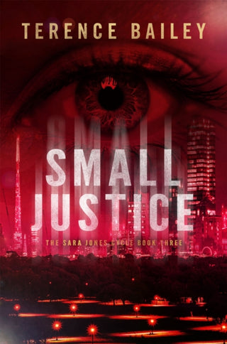 Cover image for 9781786153814 - Small Justice