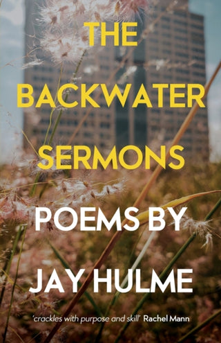 Cover image for 9781786223937 - The Backwater Sermons