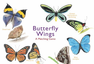 Cover image for 9781786272850 - Butterfly Wings