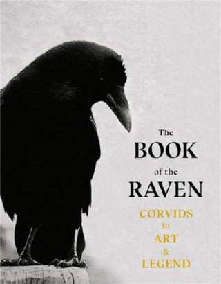 Cover image for 9781786277015 - The Book of the Raven