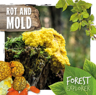 Cover image for 9781786374790 - Rot & Mould