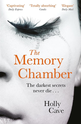 Cover image for 9781786485373 - The Memory Chamber
