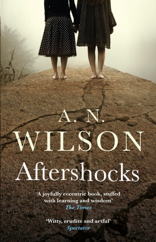 Cover image for 9781786496058 - Aftershocks