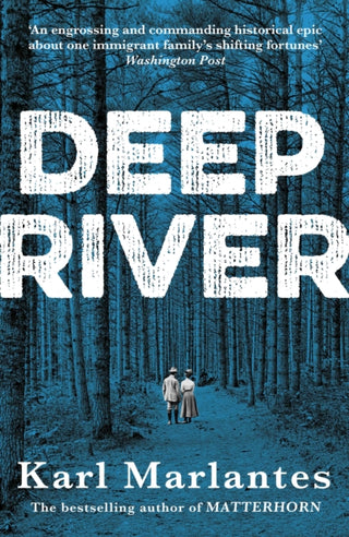 Cover image for 9781786498854 - Deep River