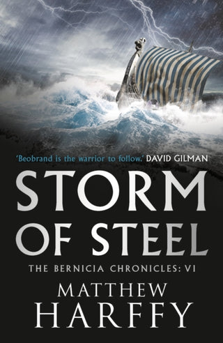Cover image for 9781786696335 - Storm of Steel