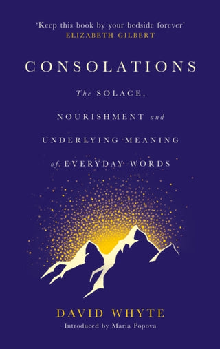 Cover image for 9781786897633 - Consolations