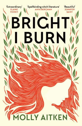 Cover image for 9781786898371 - Bright I Burn