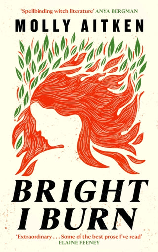 Cover image for 9781786898388 - Bright I Burn