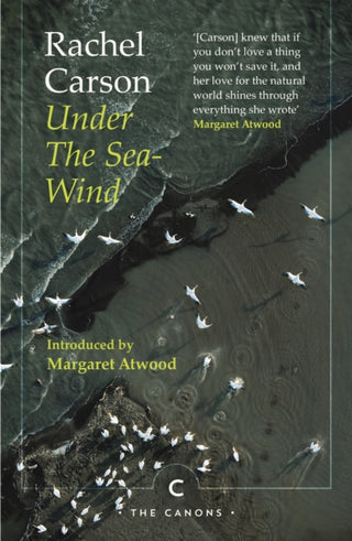 Cover image for 9781786899279 - Under the Sea-Wind