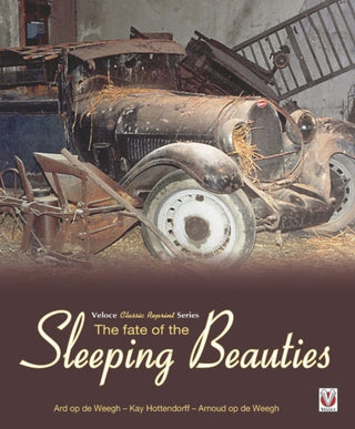 Cover image for 9781787113336 - The Fate of the Sleeping Beauties