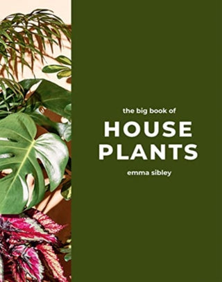 Cover image for 9781787139428 - The Big Book of House Plants